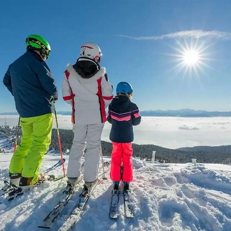 Studio Chaleureux Au Depart Des Sentiers Et Pistes De Ski Lajoux ภายนอก รูปภาพ