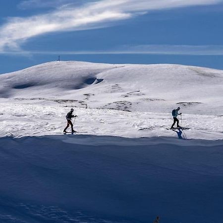 Studio Chaleureux Au Depart Des Sentiers Et Pistes De Ski Lajoux ภายนอก รูปภาพ