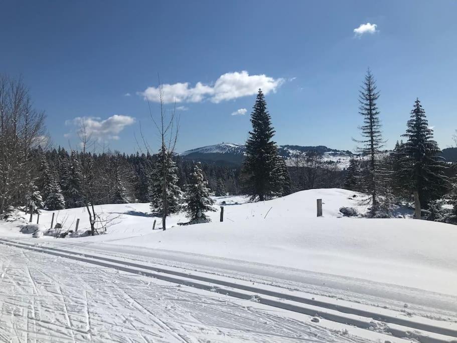 Studio Chaleureux Au Depart Des Sentiers Et Pistes De Ski Lajoux ภายนอก รูปภาพ