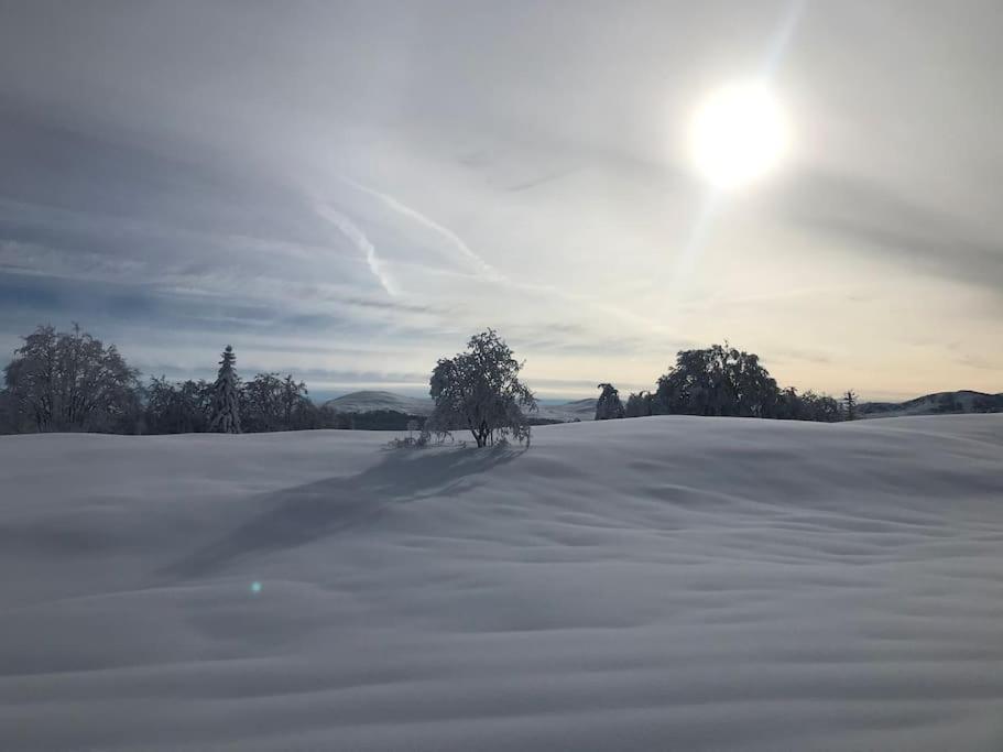 Studio Chaleureux Au Depart Des Sentiers Et Pistes De Ski Lajoux ภายนอก รูปภาพ