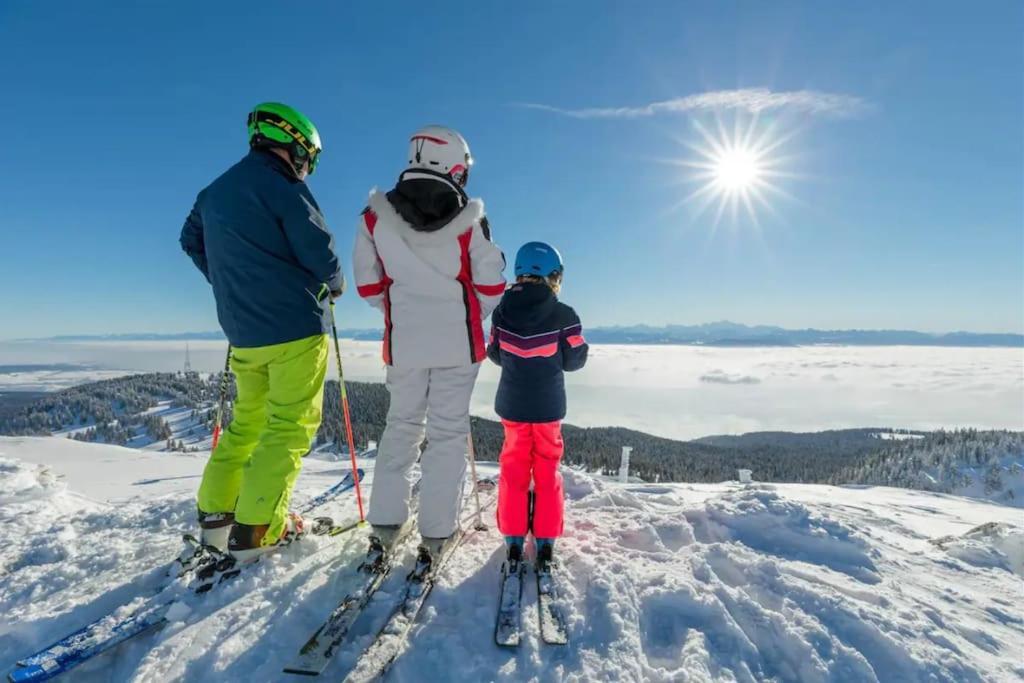 Studio Chaleureux Au Depart Des Sentiers Et Pistes De Ski Lajoux ภายนอก รูปภาพ