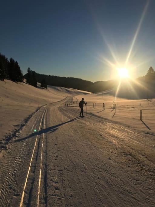 Studio Chaleureux Au Depart Des Sentiers Et Pistes De Ski Lajoux ภายนอก รูปภาพ