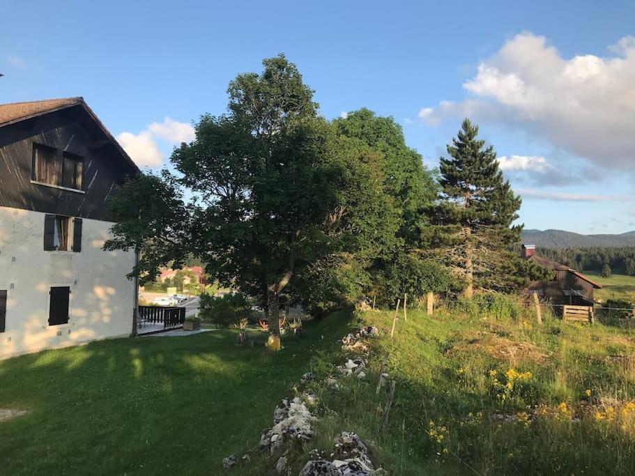 Studio Chaleureux Au Depart Des Sentiers Et Pistes De Ski Lajoux ภายนอก รูปภาพ